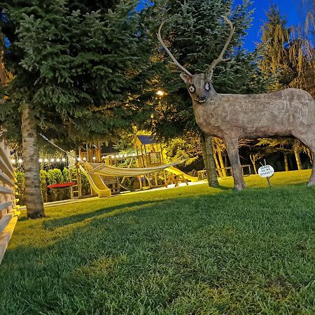 Popasul Lu' Voda Borşa Extérieur photo