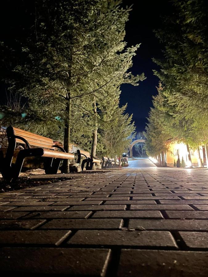 Popasul Lu' Voda Borşa Extérieur photo