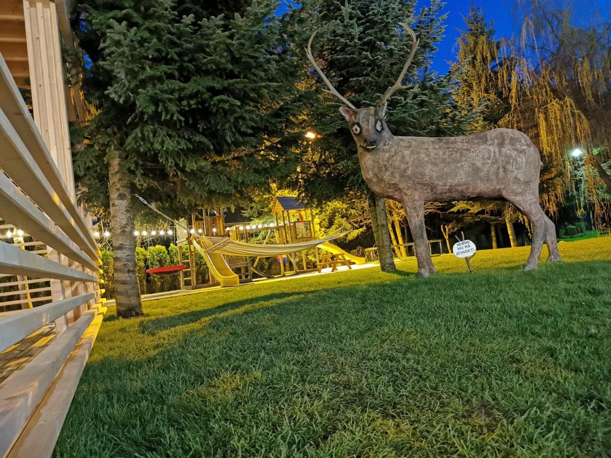 Popasul Lu' Voda Borşa Extérieur photo